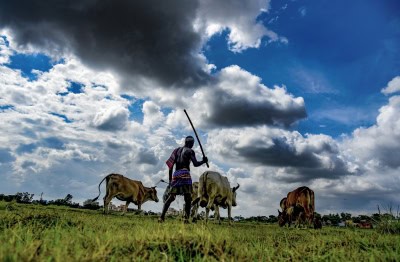 महाराष्ट्र ने नए कृषि कानूनों को लागू करने के आदेश पर लगाई रोक (आईएएनएस प्रभाव)