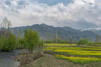 जम्मू-कश्मीर के लिए नए भूमि कानून के खिलाफ पीडीपी का विरोध प्रदर्शन नाकाम