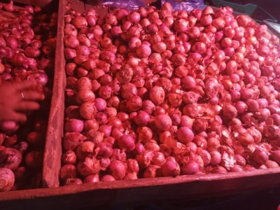 वैश्विक बाजार से सस्ता भारत में प्याज, आयात की गुंजाइश नहीं