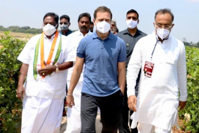 राहुल गांधी के उत्तर बनाम दक्षिण के बयान पर बंटे कांग्रेस नेता