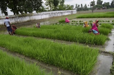 आपदा में अवसर : भारतीय कृषि उत्पादों की बढ़ी मांग, अनाज निर्यात में जोरदार इजाफा