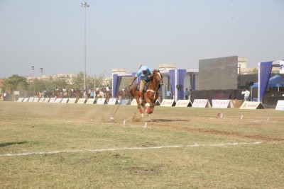 इक्वेस्टेरियन (घुड़सवारी) : हरियाणा पुलिस, भारतीय नौसेना ने जीते स्वर्ण