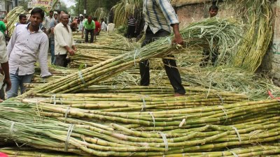 प्रवासी गन्ना श्रमिकों के बच्चों के लिए 82 छात्रावास शुरू करेगा महाराष्ट्र